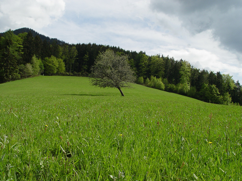 Foto von Sonntag, 09.05.2004