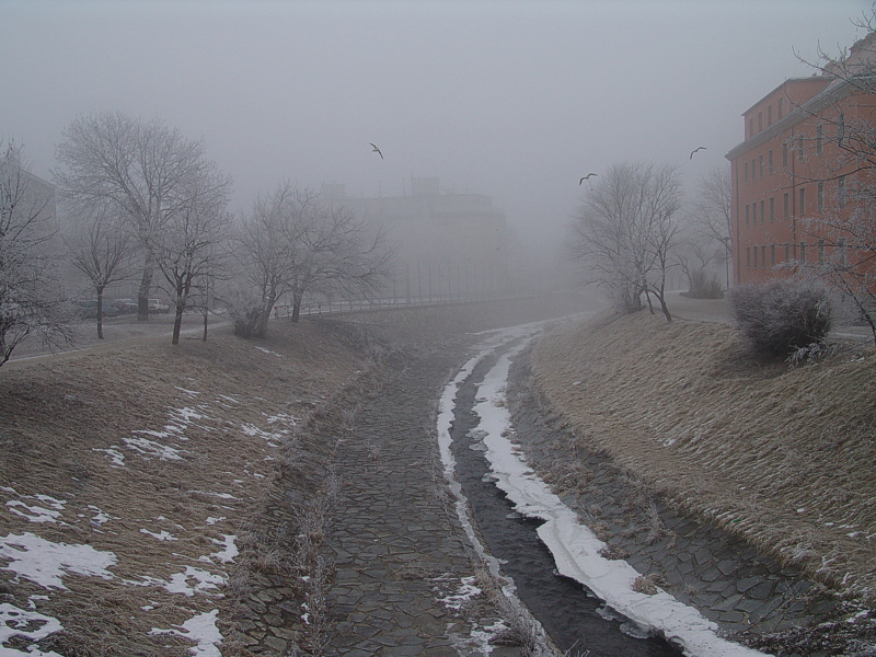 Foto von Donnerstag, 02.02.2006