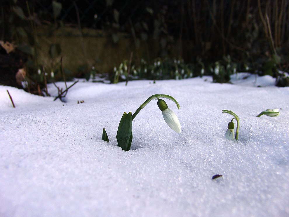 Foto von Freitag, 17.03.2006