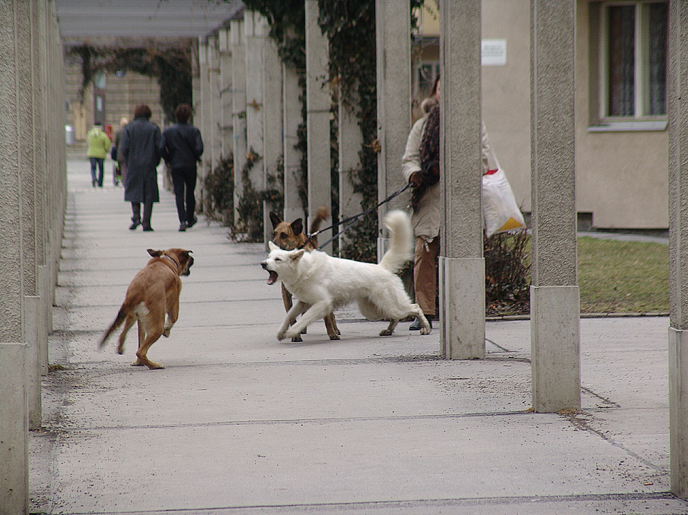 Foto von Samstag, 18.03.2006