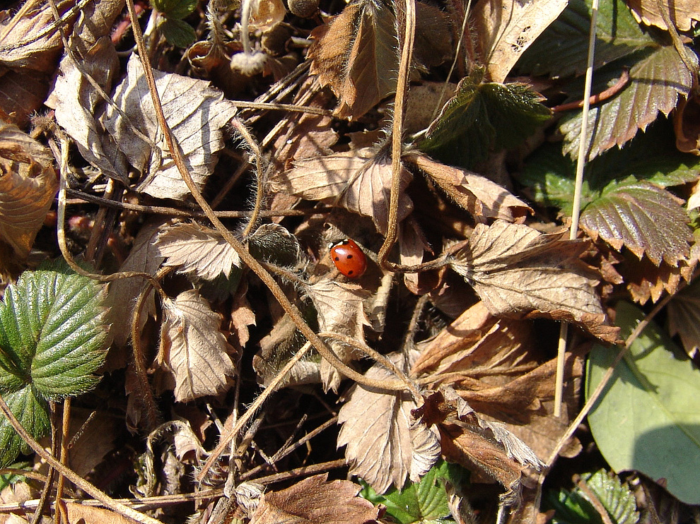 Foto von Sonntag, 19.03.2006