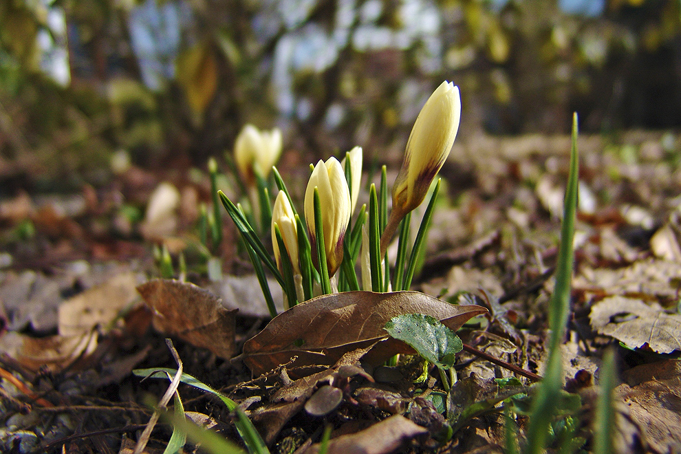 Foto von Freitag, 24.03.2006