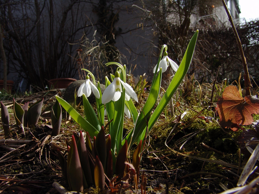 Foto von Montag, 27.03.2006