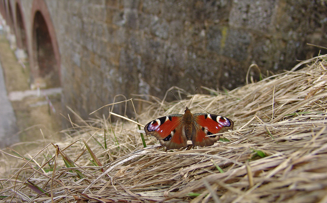 Foto von Montag, 27.03.2006