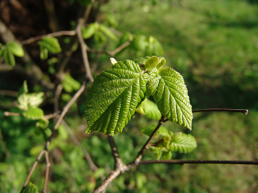 Foto von Freitag, 21.04.2006