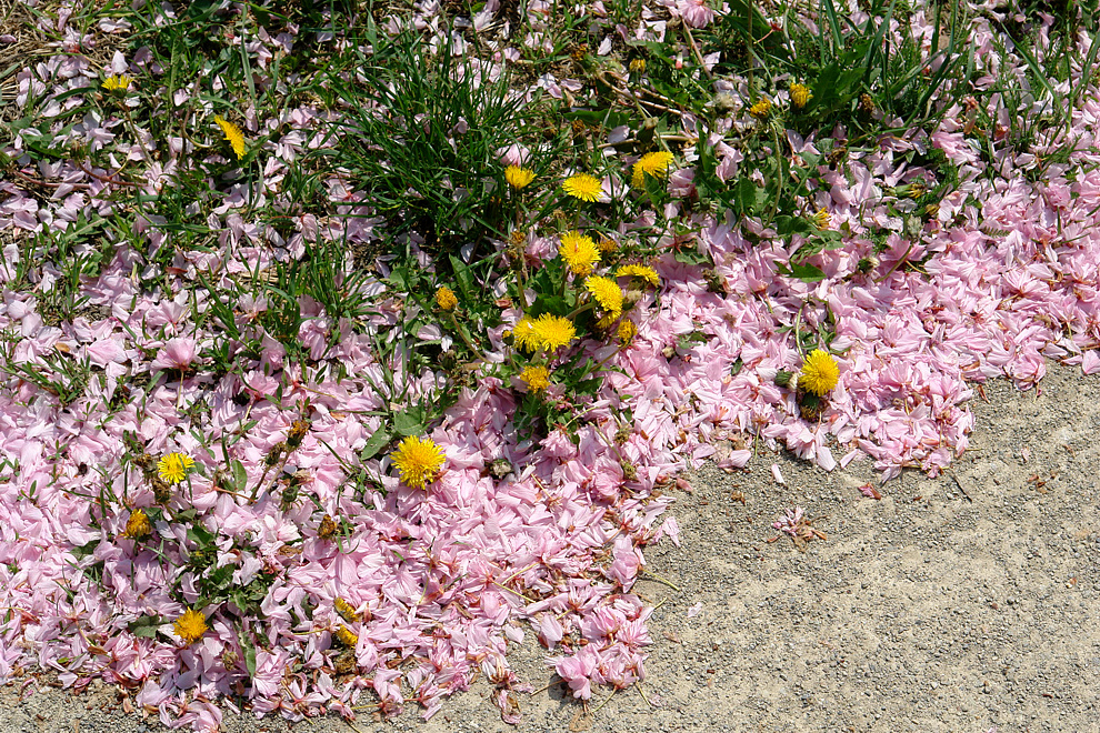 Foto von Donnerstag, 04.05.2006