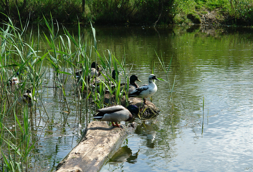 Foto von Mittwoch, 17.05.2006