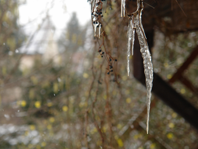 Foto von Donnerstag, 25.01.2007