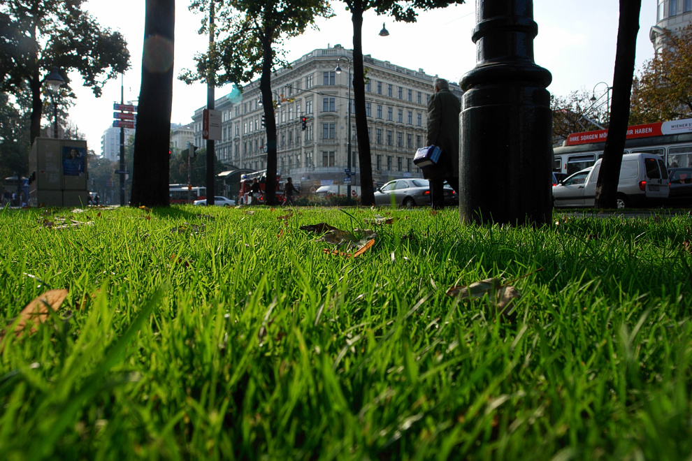 Foto von Donnerstag, 11.10.2007