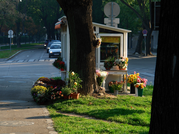 Foto von Mittwoch, 17.10.2007