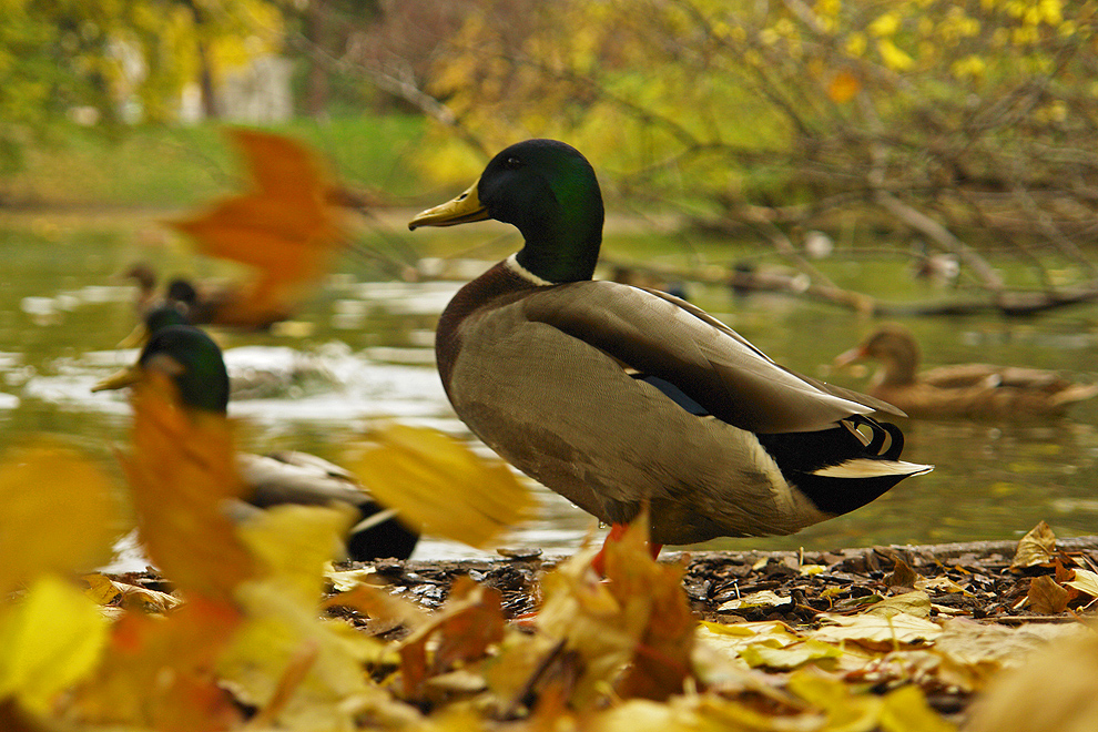 Foto von Montag, 05.11.2007