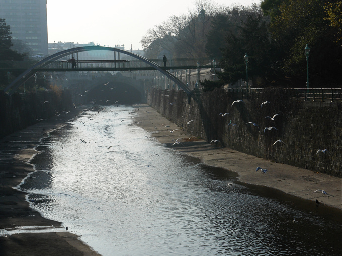 Foto von Montag, 19.11.2007