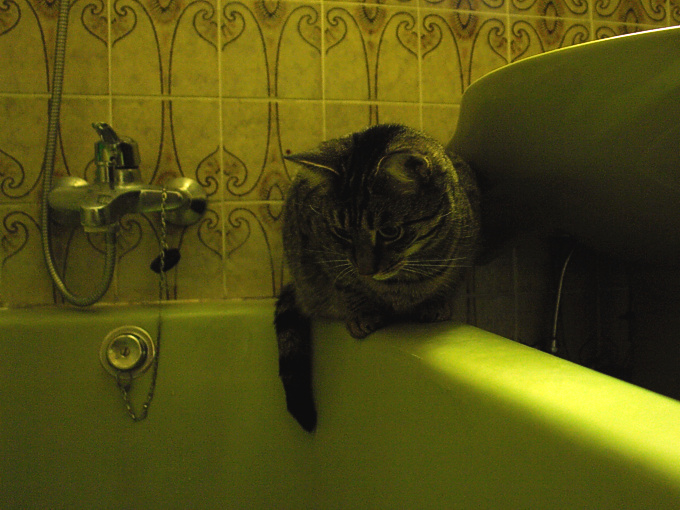 Sunday, 30-12-2007