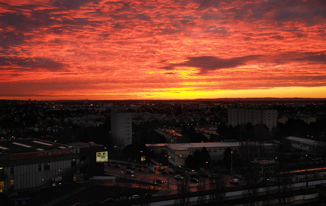 Foto von Dienstag, 08.01.2008