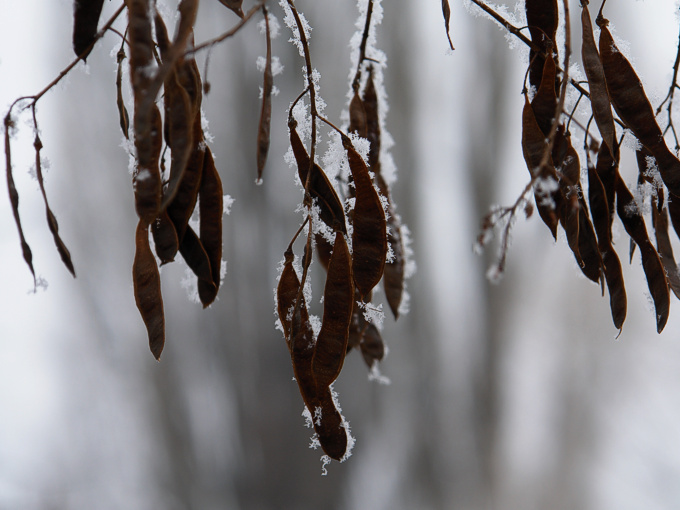 Foto von Dienstag, 12.02.2008