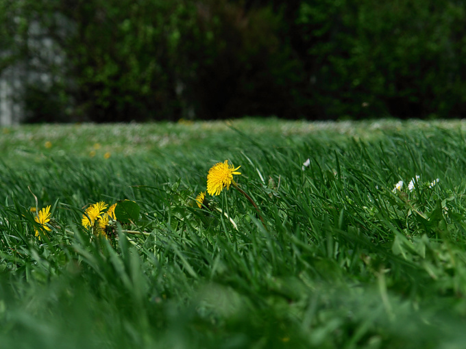 Foto von Samstag, 19.04.2008