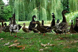 Foto von Donnerstag, 18.09.2008