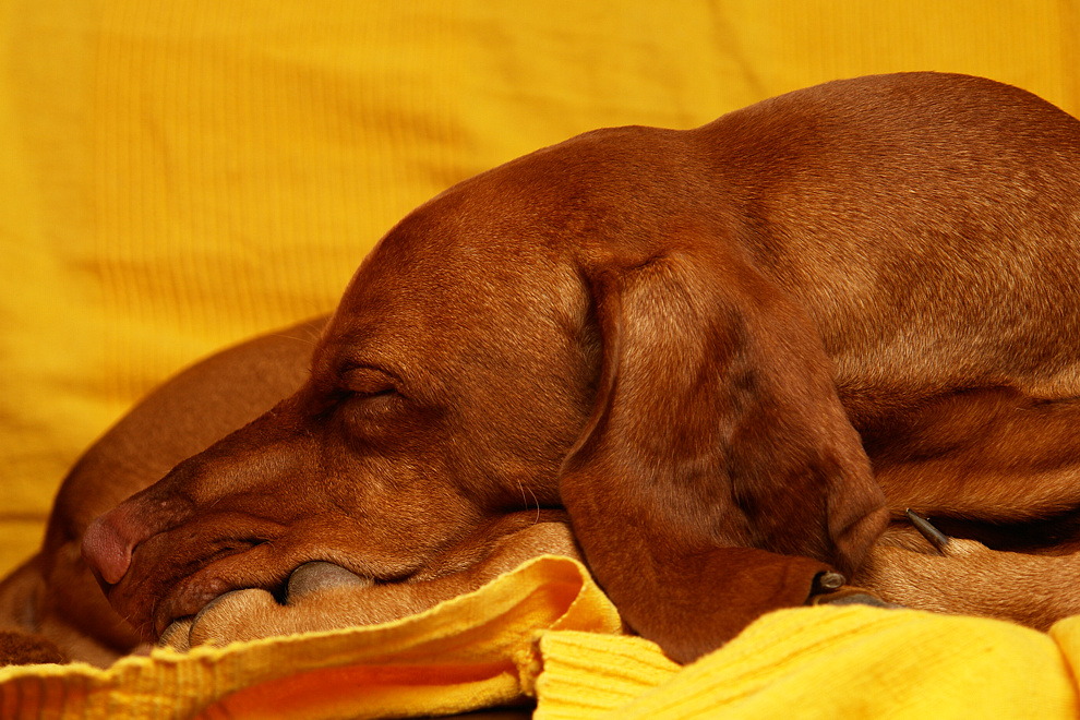 Foto von Donnerstag, 02.10.2008