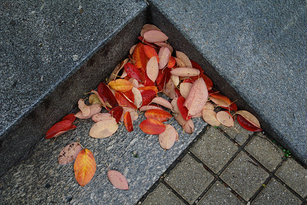Wednesday, 29-10-2008
