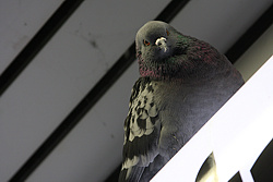 Foto von , 