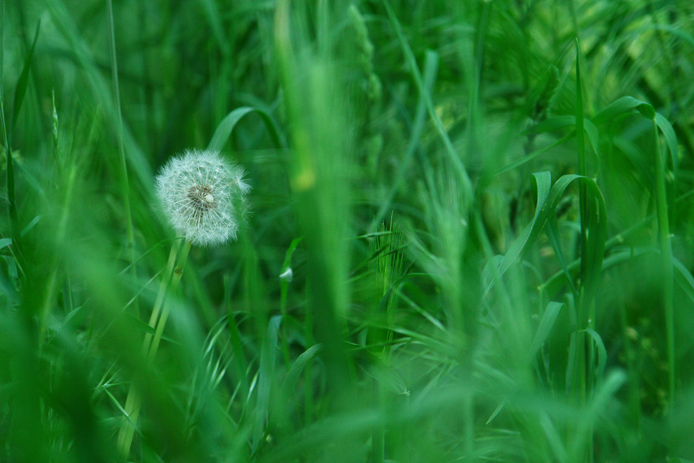 Foto von Samstag, 09.05.2009