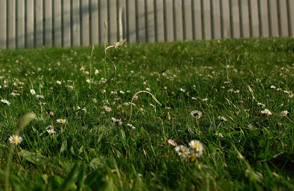 Foto von Montag, 11.05.2009
