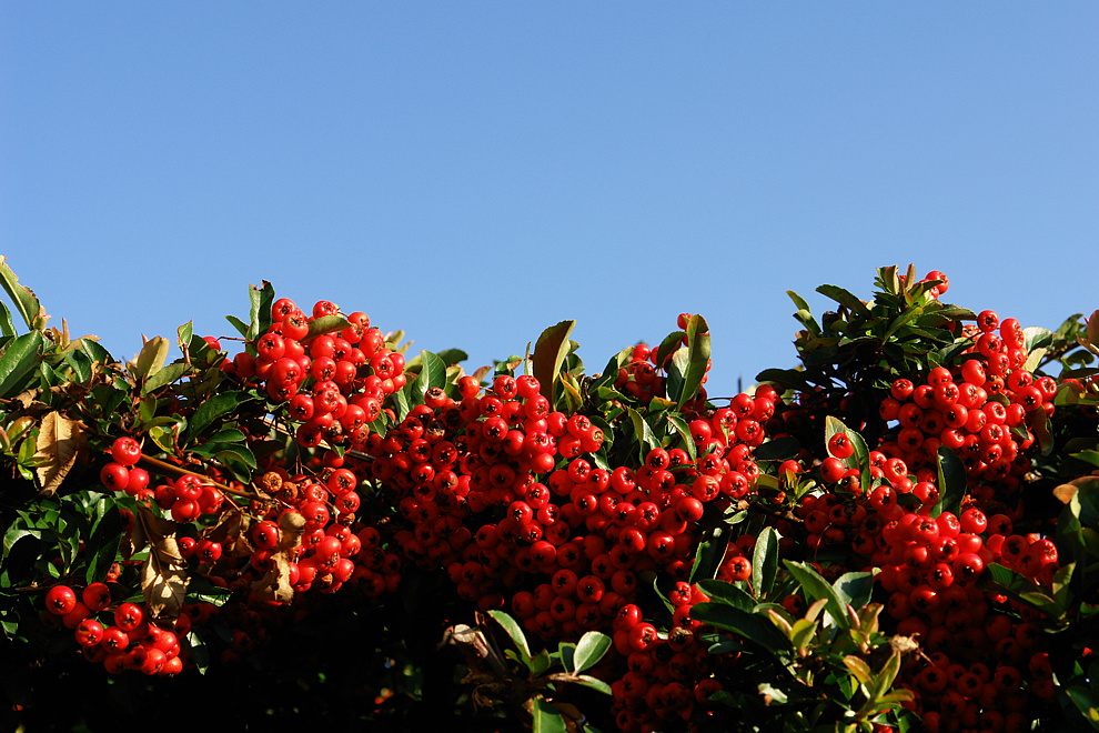 Foto von Sonntag, 25.10.2009