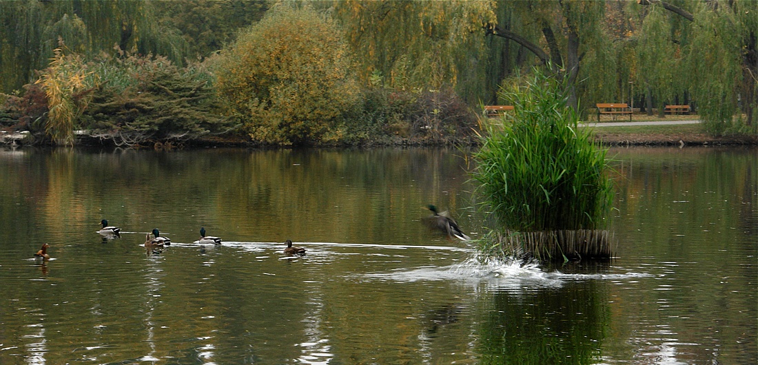 Foto von Samstag, 31.10.2009