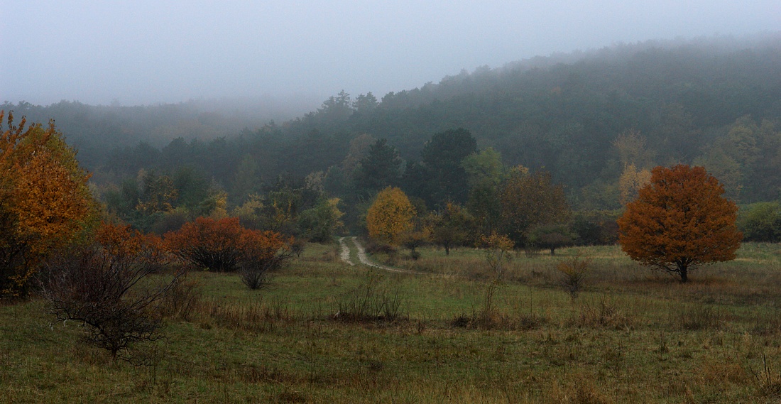 Foto von Sonntag, 01.11.2009