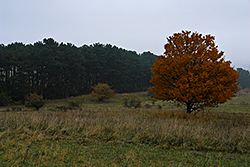 Foto von Sonntag, 01.11.2009