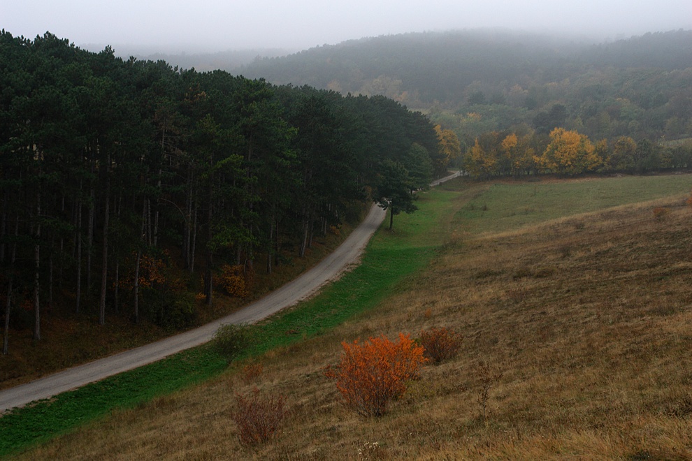 Foto von Sonntag, 01.11.2009