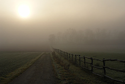 Foto von Freitag, 20.11.2009