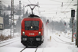 Foto von Donnerstag, 21.01.2010