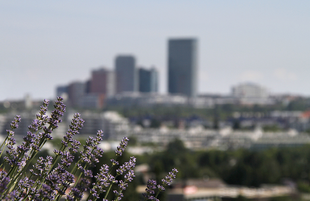 Foto von Sonntag, 06.06.2010