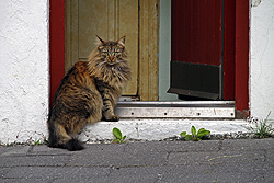 Foto von Donnerstag, 24.06.2010