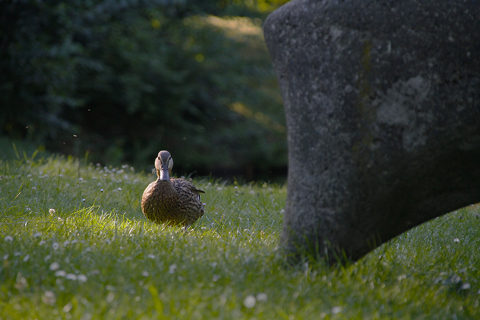 Foto von Mittwoch, 07.07.2010