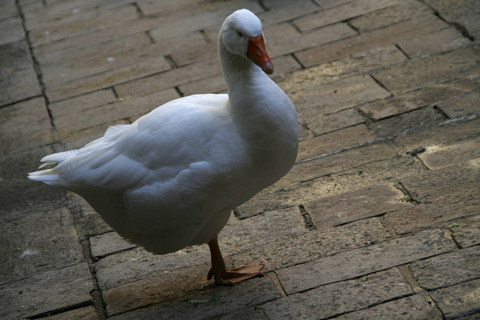 Foto von Mittwoch, 27.10.2010