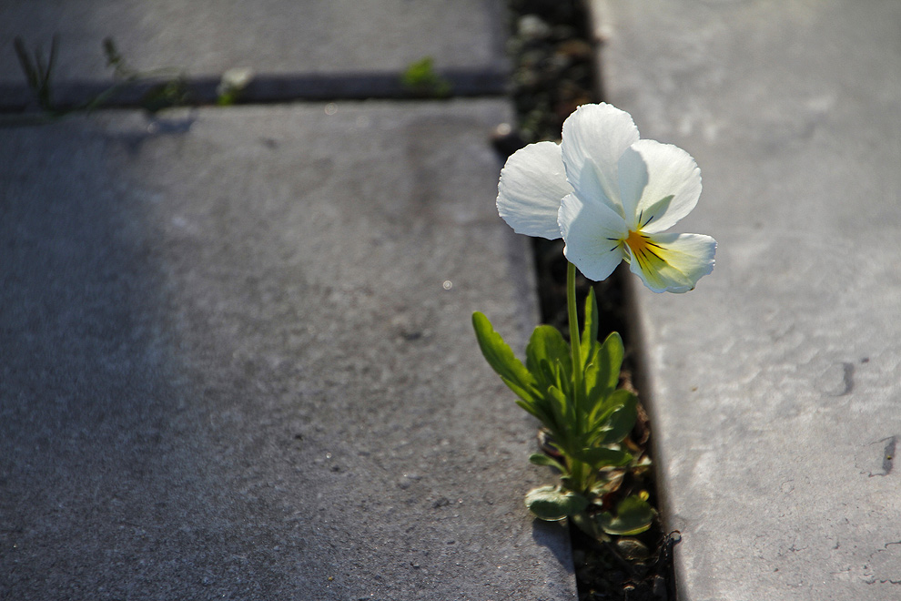 Foto von Mittwoch, 20.04.2011