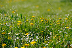 Foto von Donnerstag, 21.04.2011