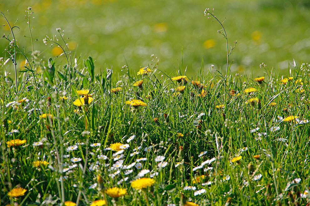 Foto von Donnerstag, 21.04.2011