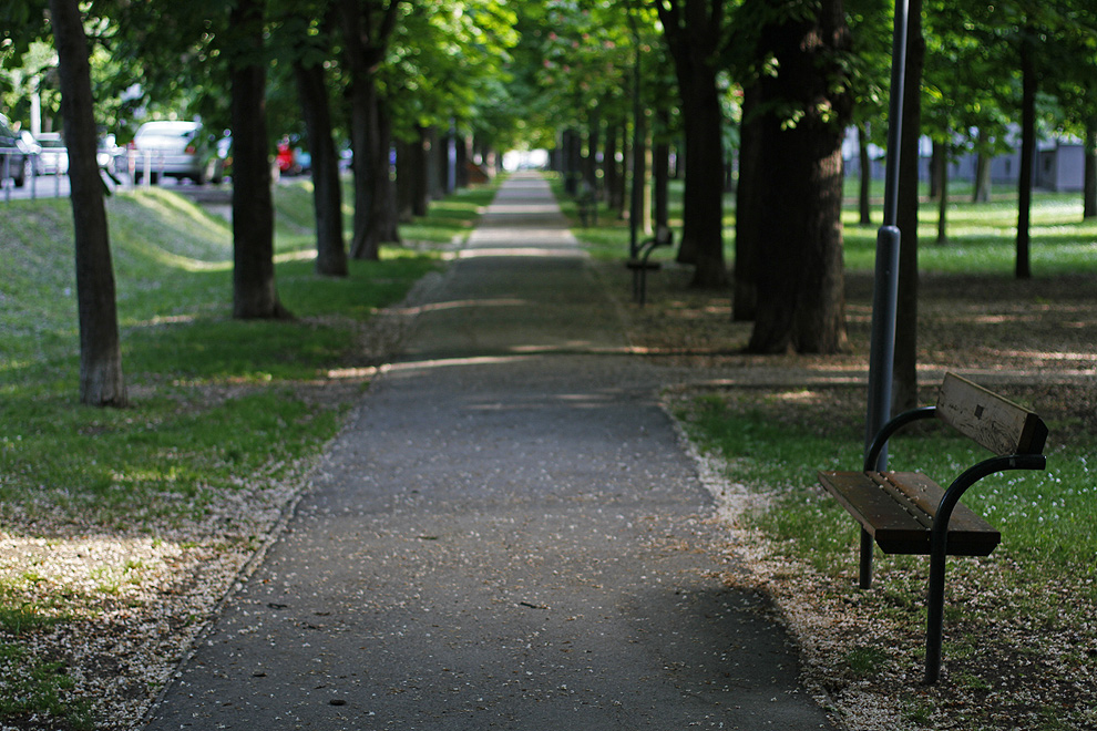 Foto von Montag, 02.05.2011