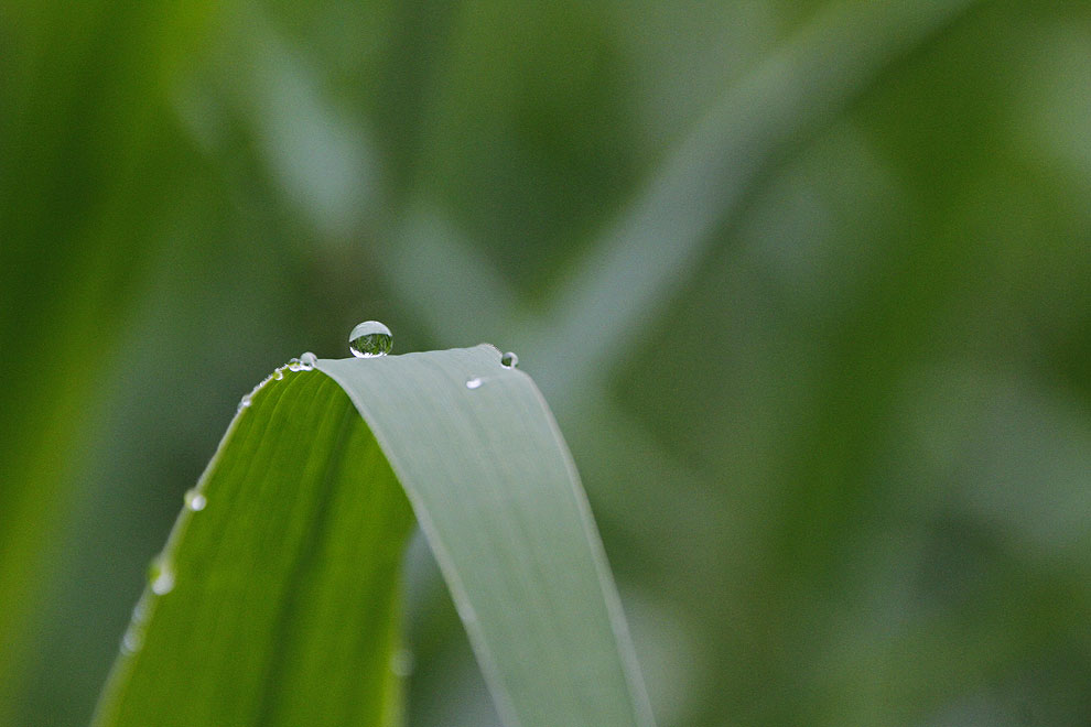 Foto von Samstag, 18.06.2011