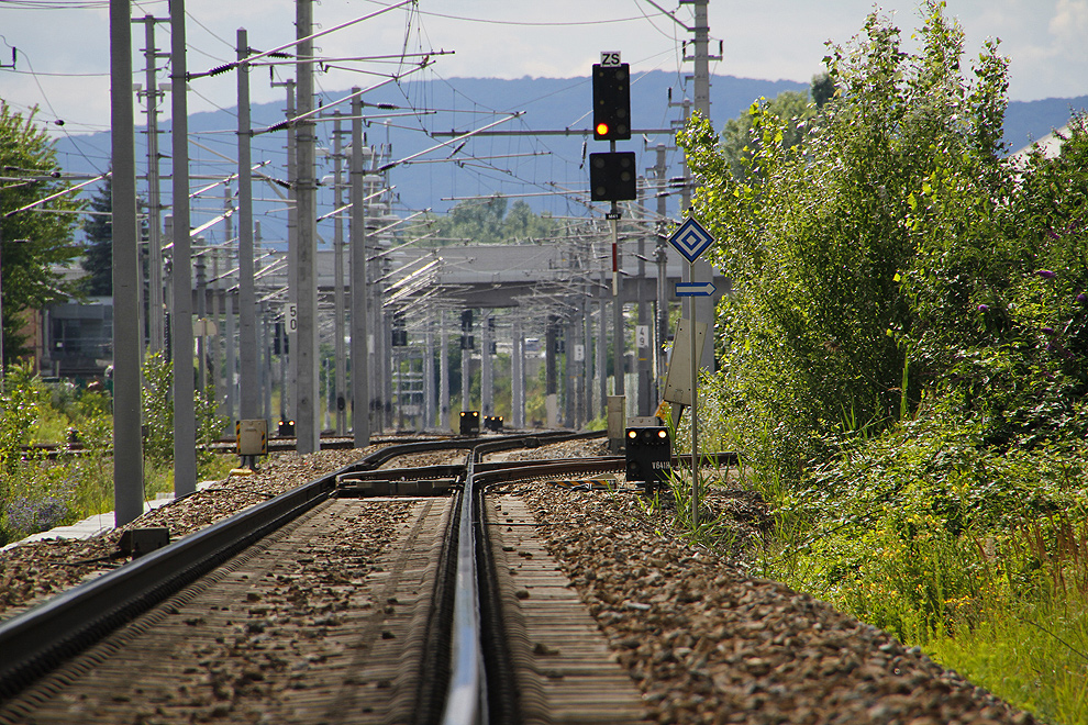 Foto von Sonntag, 26.06.2011