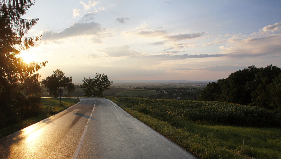 Foto von Freitag, 22.07.2011