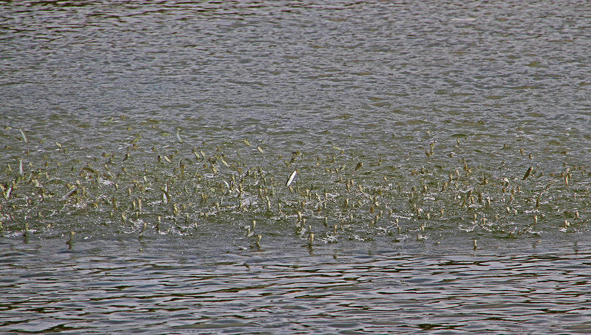 Foto von Dienstag, 10.04.2012