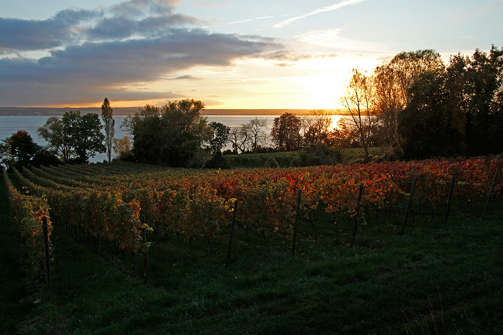 Foto von Samstag, 13.10.2012