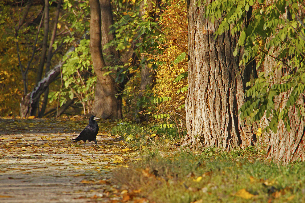 Foto von Mittwoch, 14.11.2012