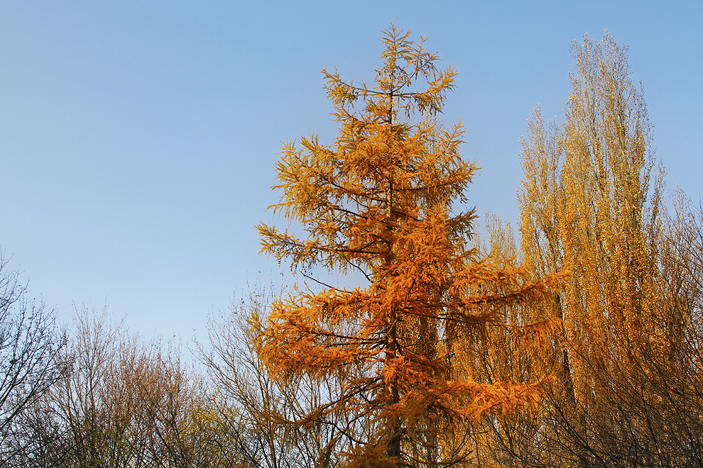 Foto von Mittwoch, 14.11.2012