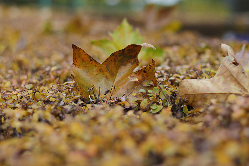 Foto von Mittwoch, 21.11.2012