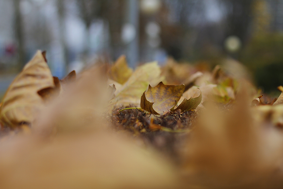 Foto von Mittwoch, 21.11.2012